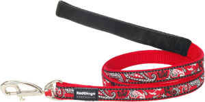 a smart red leash